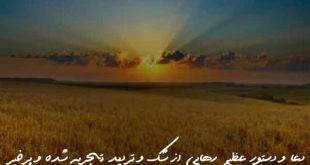 278360378620973290673-310x165 دعا و دستور عظیم رهایی از شک و تردید تجربه شده و پرخیر  