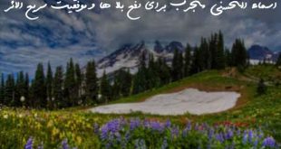 72836673023603906327-310x165 اسماء الحسنی مجرب برای دفع بلا ها و موفقیت سریع الاثر  