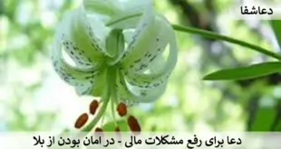 مال-310x165 دعا برای رفع مشکلات مالی - در امان بودن از بلا  