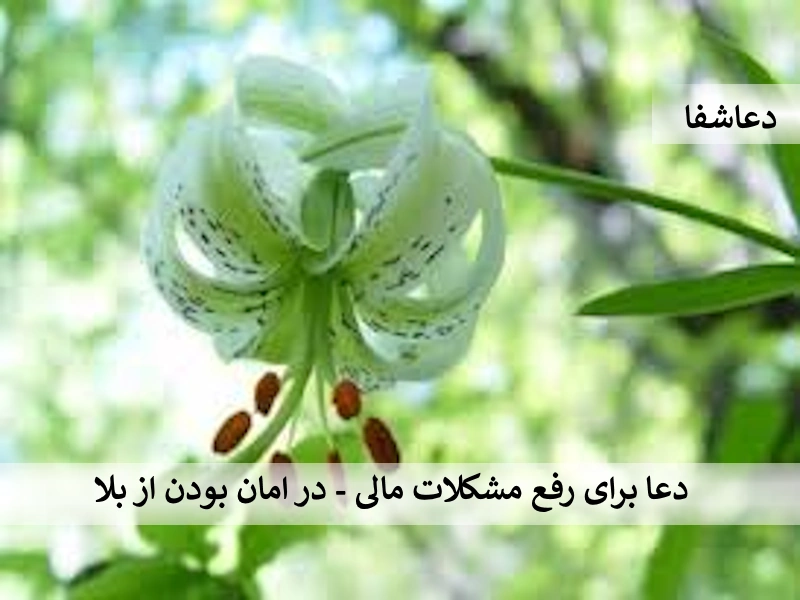 مال دعا برای رفع مشکلات مالی - در امان بودن از بلا  