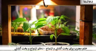 بخت-310x165 ختم مجرب برای بخت گشایی و ازدواج - دعای ازدواج و بخت گشایی  