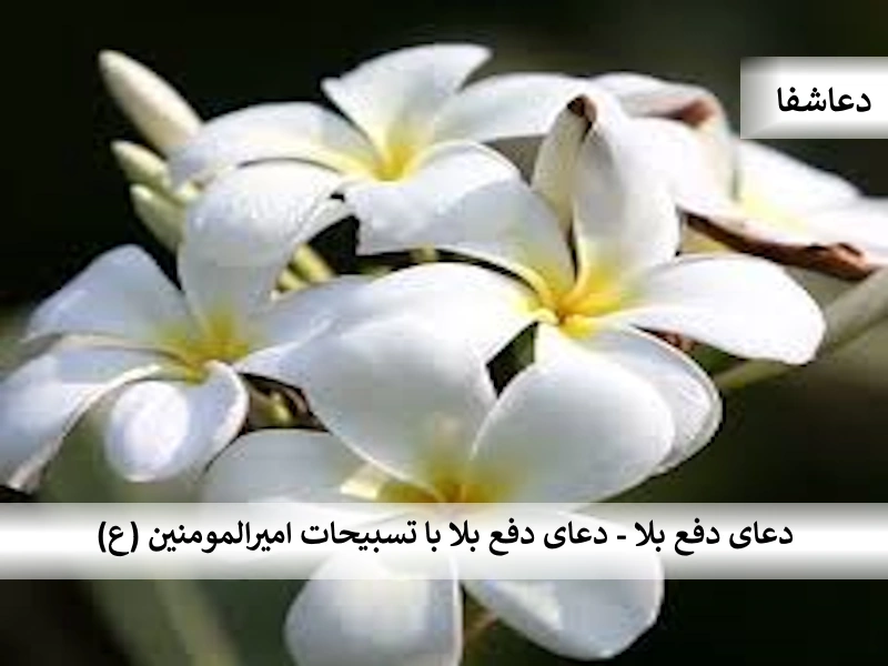 بلا3 دعای دفع بلا - دعای دفع بلا با تسبیحات امیرالمومنین (ع)  