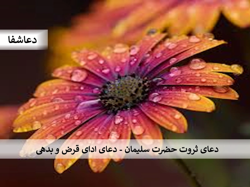 ثروت2 دعاي ثروت حضرت سلیمان - دعای ادای قرض و بدهی  