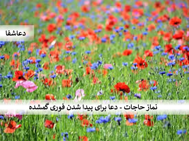 حاجات نماز حاجات - دعا برای پیدا شدن فوری گمشده  