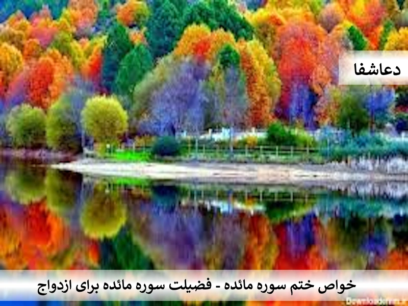 مائده خواص ختم سوره مائده - فضیلت سوره مائده برای ازدواج  