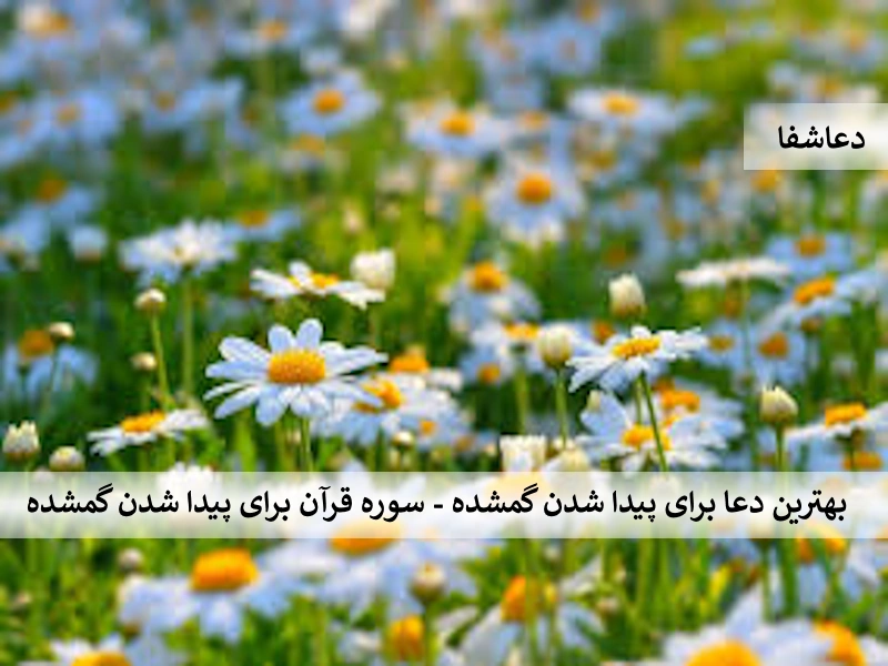 گمشده بهترین دعا برای پیدا شدن گمشده - سوره قرآن برای پیدا شدن گمشده   